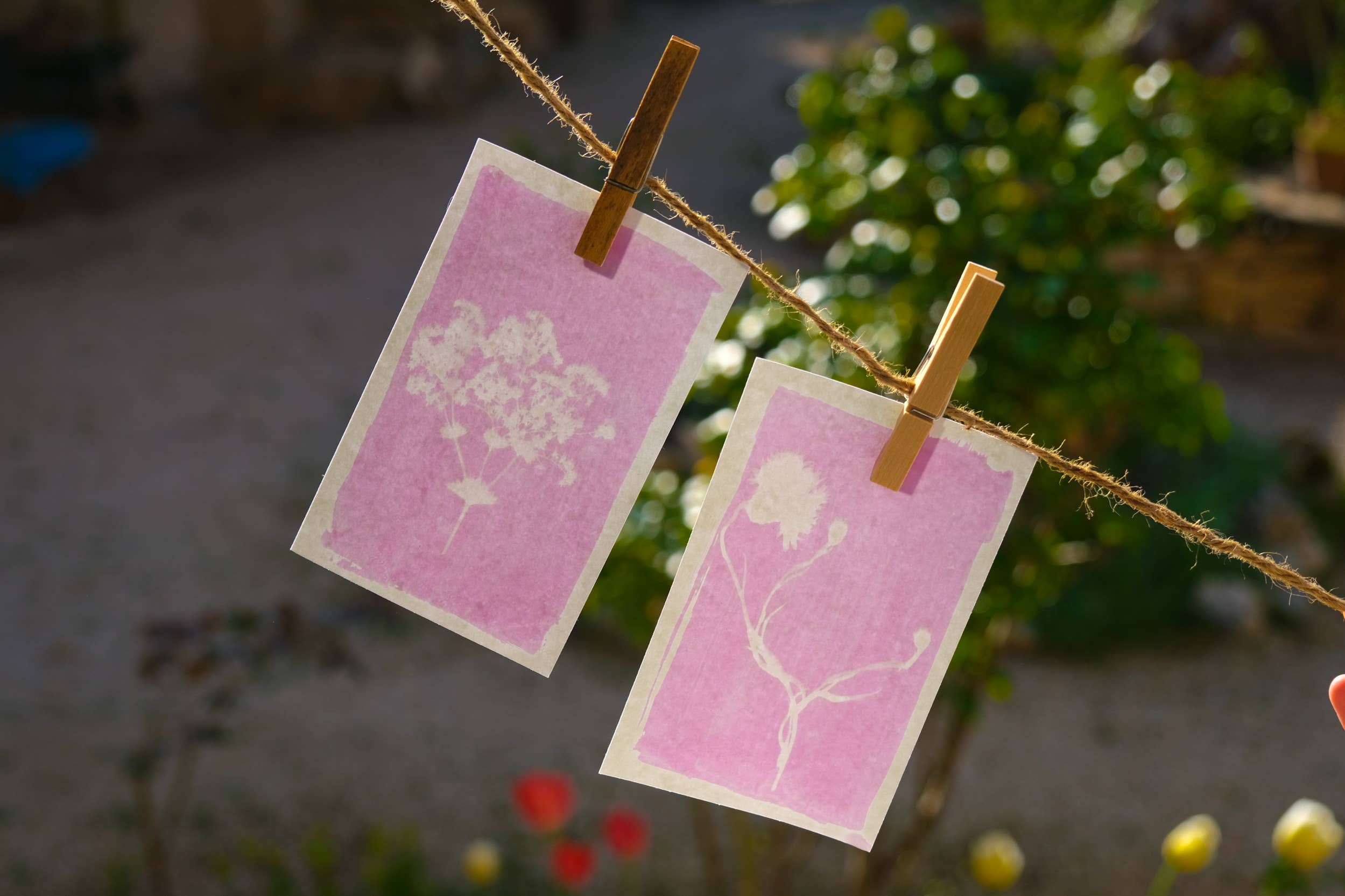 L'Atelier des Epatants - Venta al por mayor Kit de manualidades - Kit mini rosatype: como el cianotipo pero en rosa10