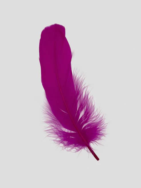 Fins 12-15 cm Fuchsia for wholesale by Enkels Feathers