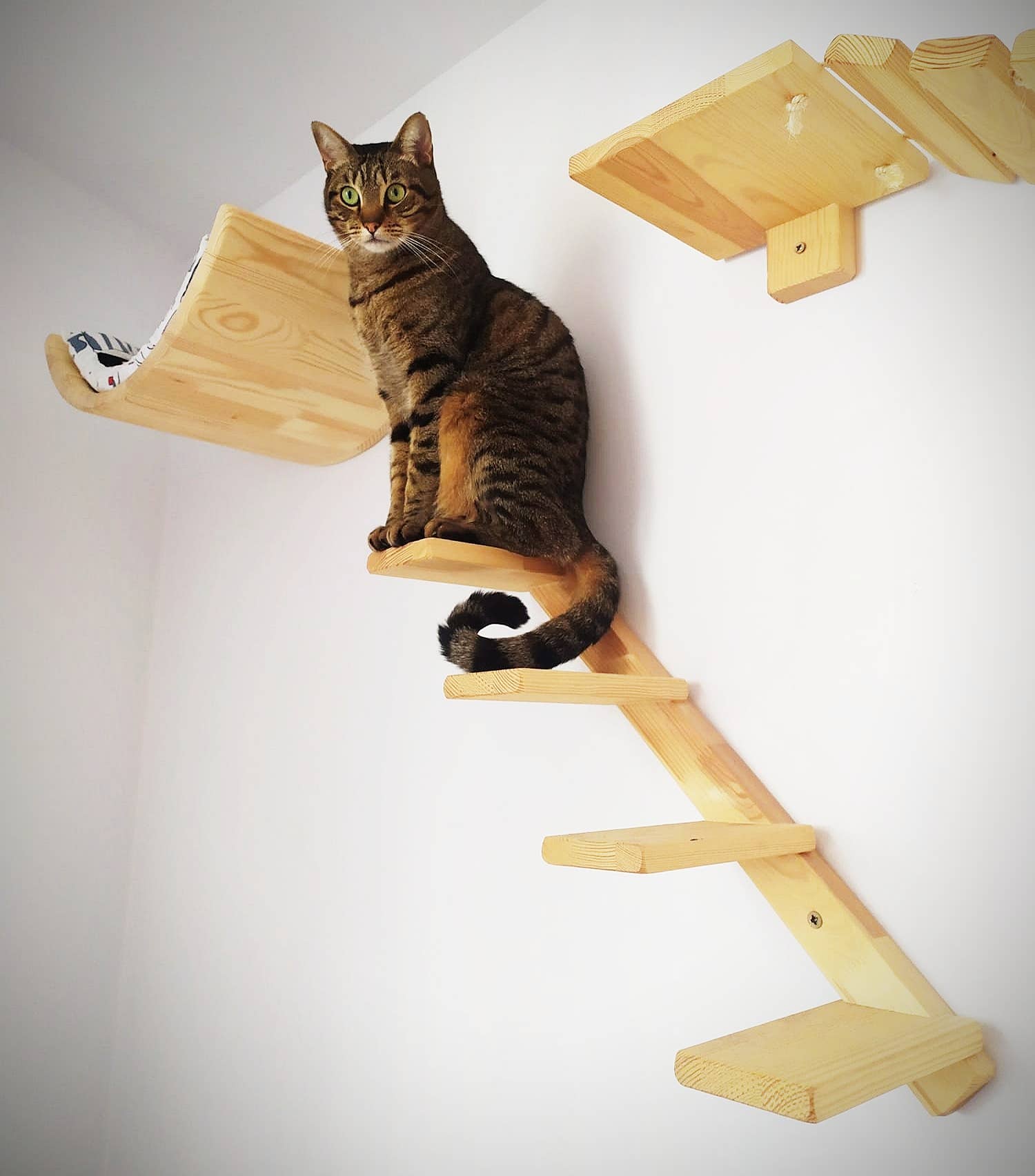CATMUEBLES OÜ - Vente Griffoir – chat - Escalier en bois pour chat avec bords arrondis2
