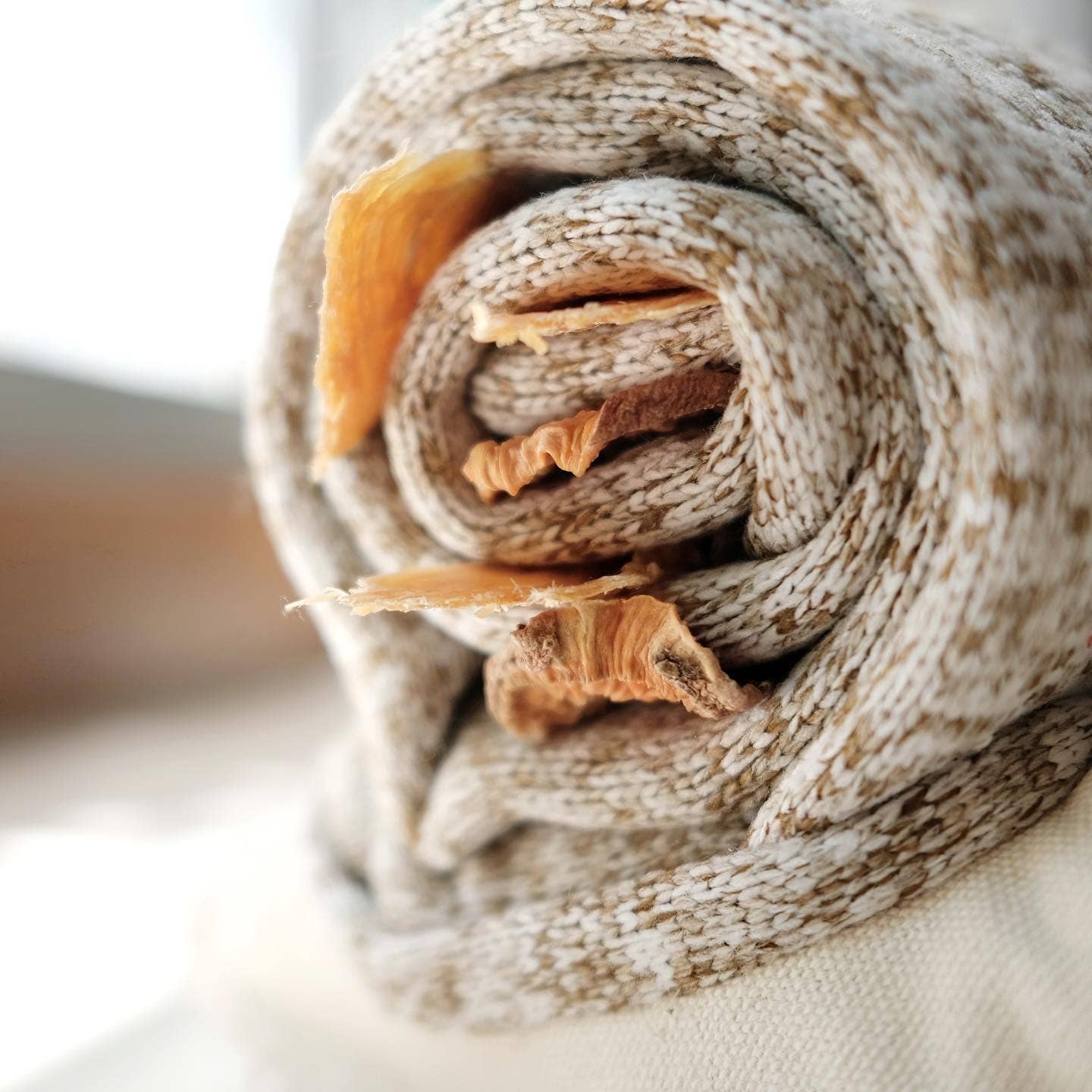 Lambwolf Collective - Wholesale Pet Toy - Dog - SNAIL//ENRICHMENT DOG TOY2