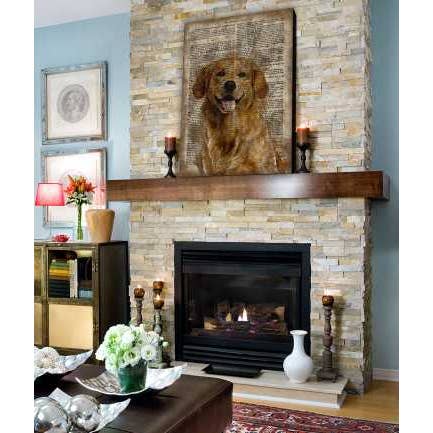 The Shizzle Print Co – Impressão artística por atacado – Placa de parede de madeira de papel vintage Golden Retriever 12 x 8”1