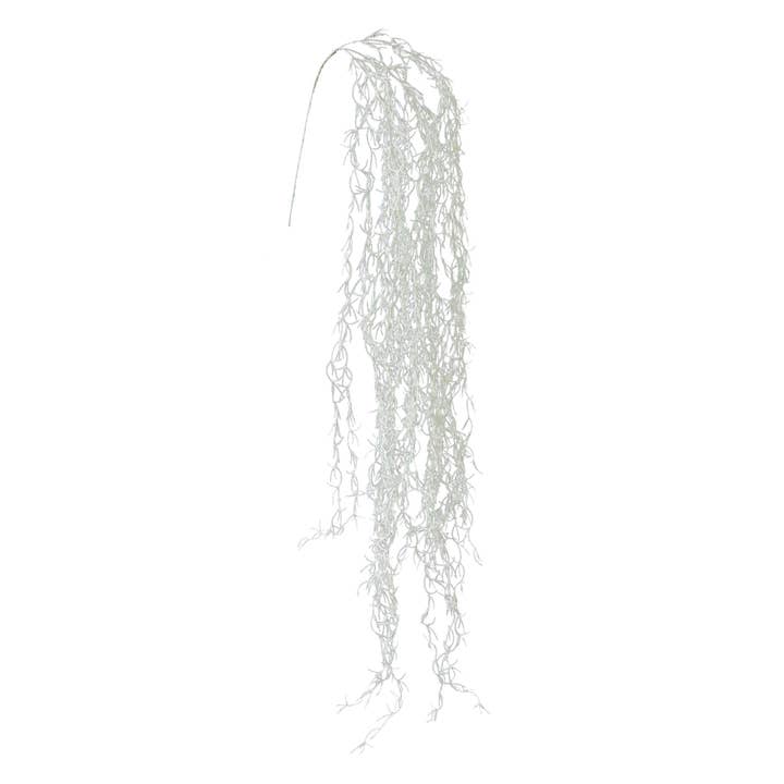 Tendril de Tillandsia, 146 cm por atacado de GASPER GmbH