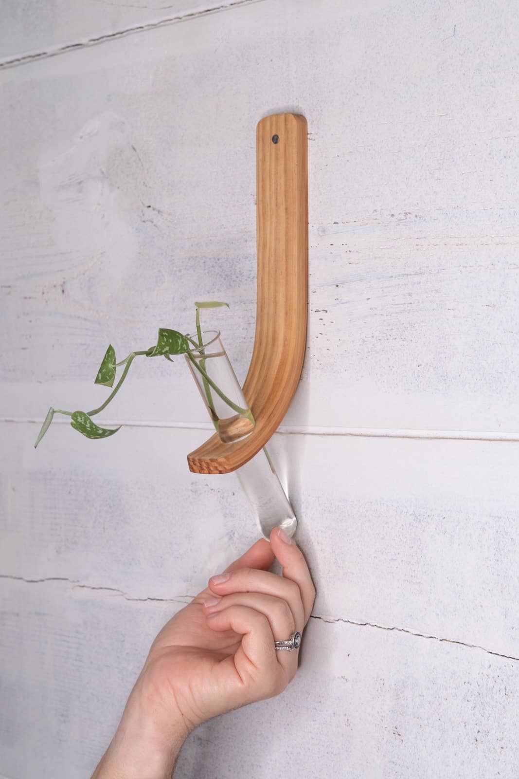 Horsemen Co. - Wholesale Wall Planter - Single Propagation Station with Tube1