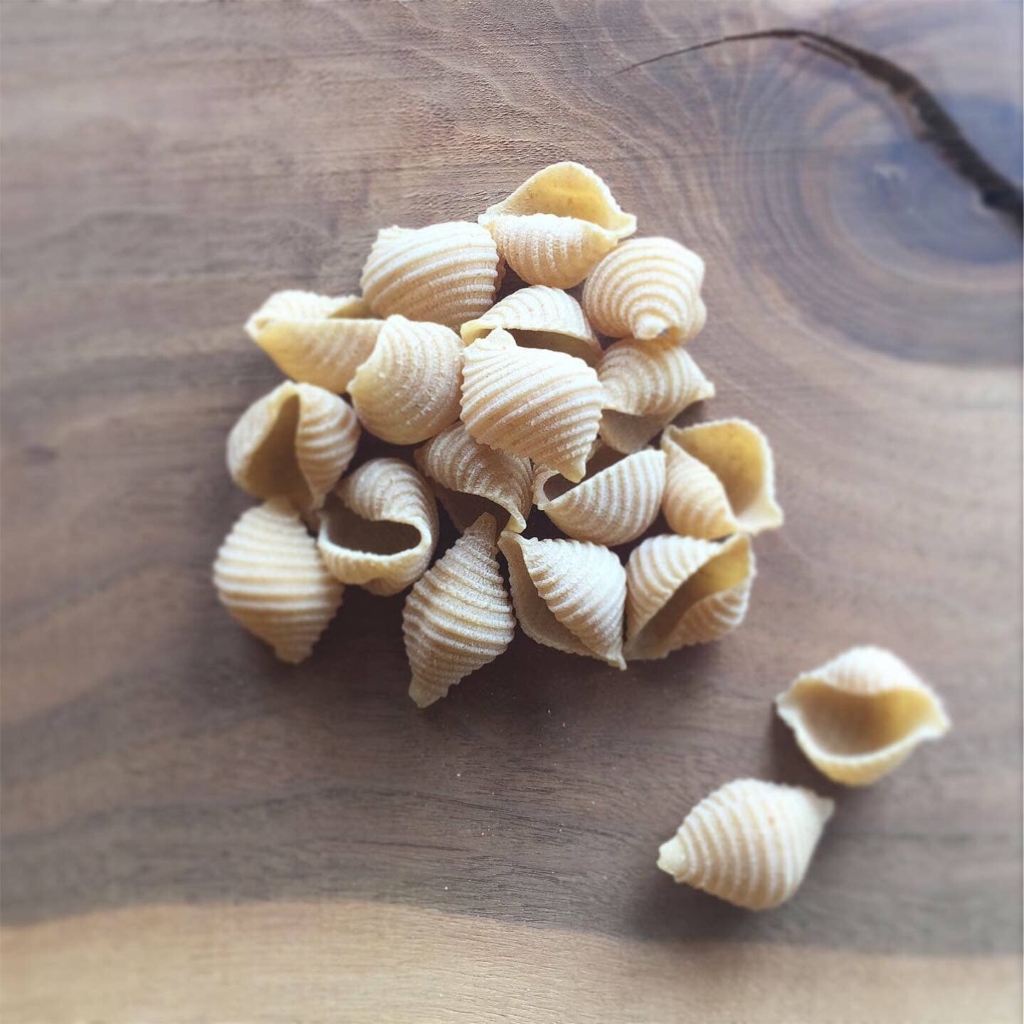 Pastificio Boulder - Wholesale Pasta - Heirloom Wheat Dry Pasta - Conchiglie3