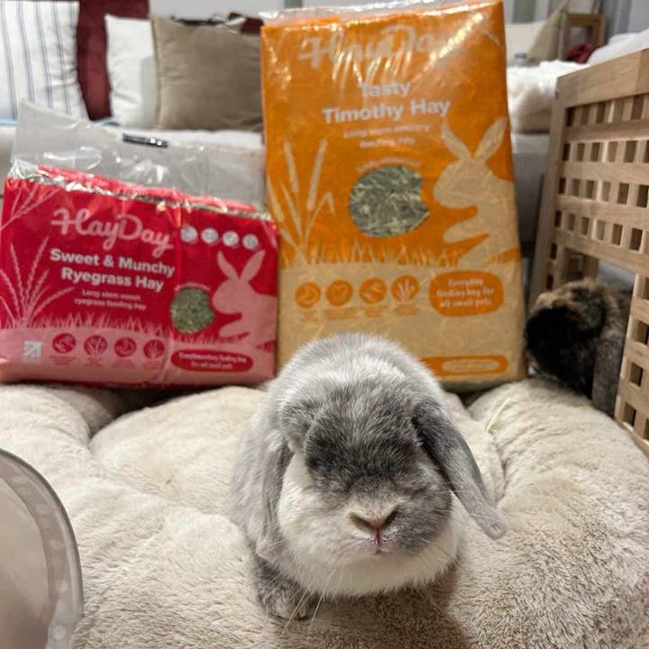 HayDay – wholesale Pet food – Not cat/dog – Tasty Timothy Hay8