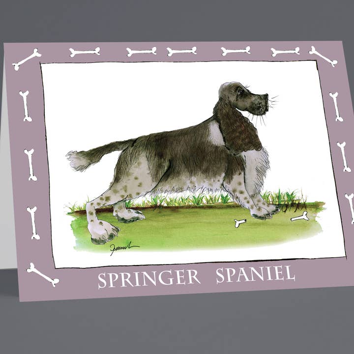 Springer Spaniel greeting cards (pack of 6) for wholesale by Tony Fernandes Design