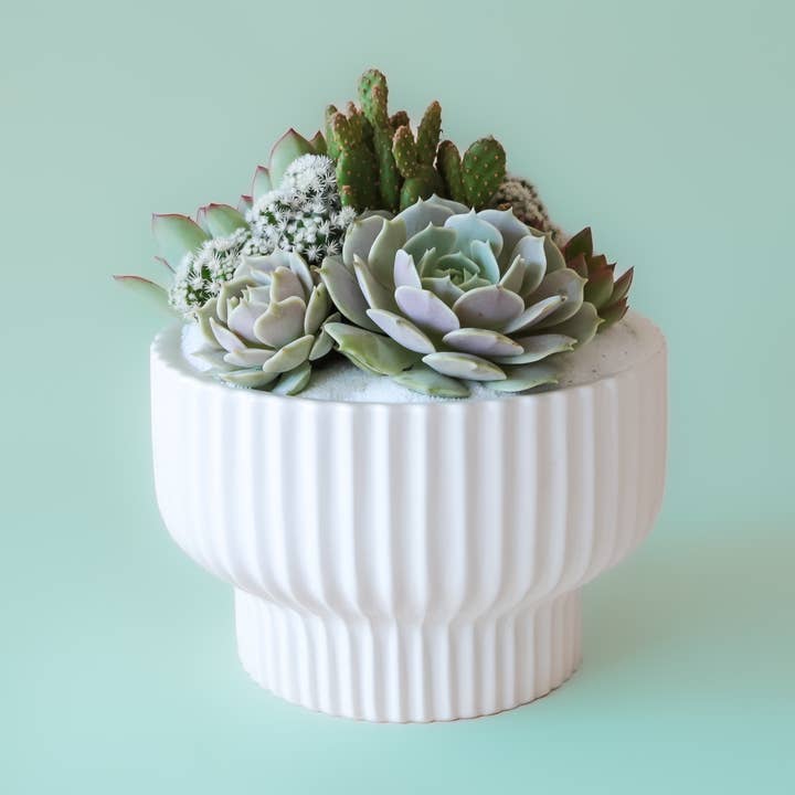 Presley Pedestal Planter | White for wholesale by Jungle Club