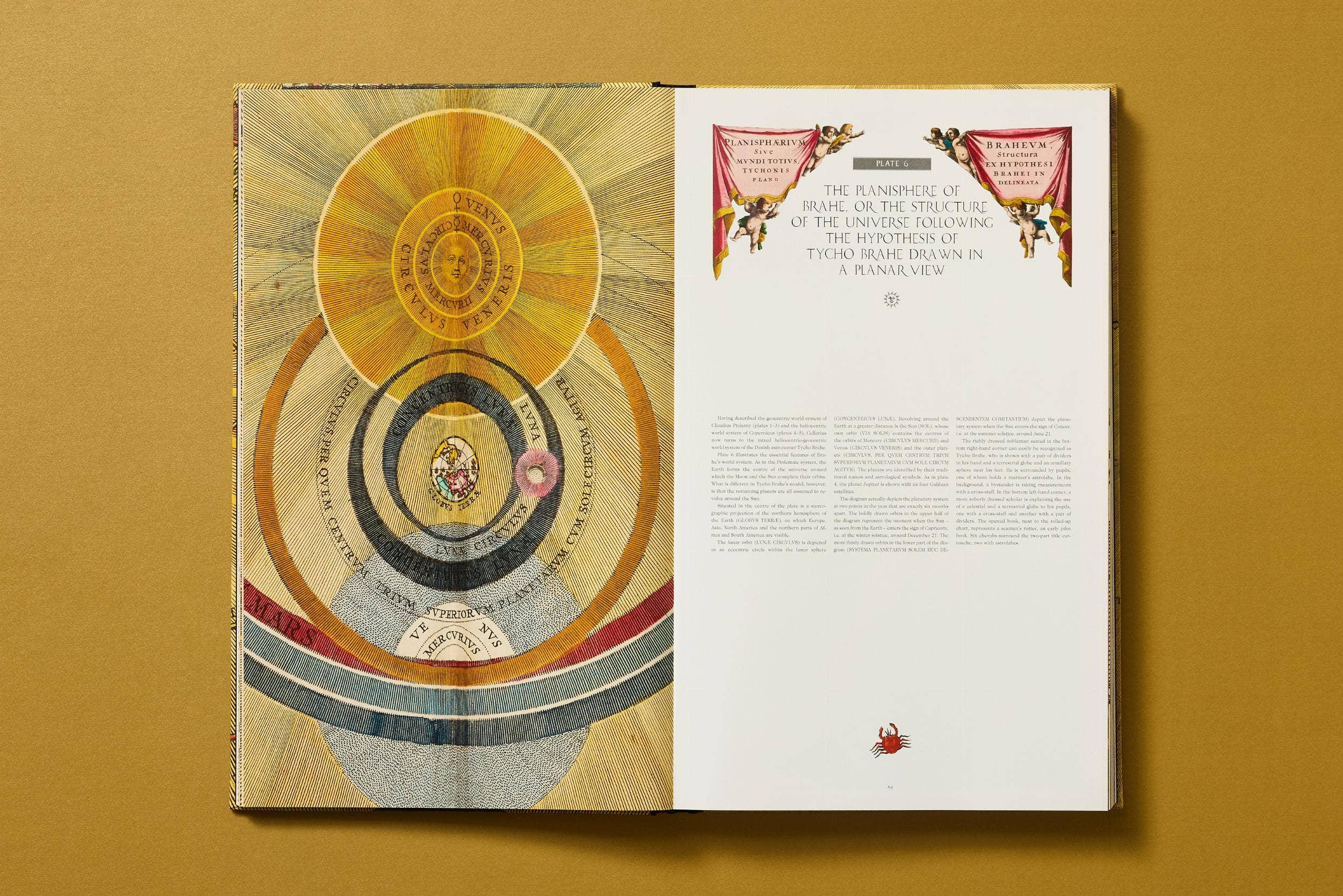 TASCHEN Europe - Wholesale Reference Book - Cellarius Atlas (German, French, English)13