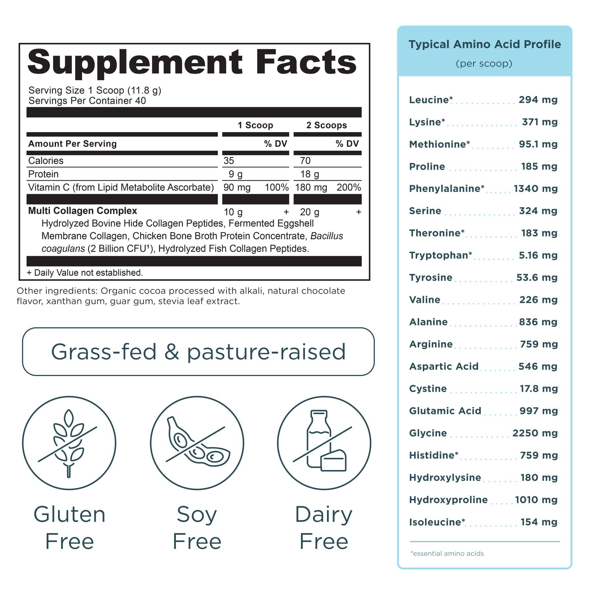 Black Multi Collagen Protein | Powder Chocolate (40 Servings) for wholesale on Faire1