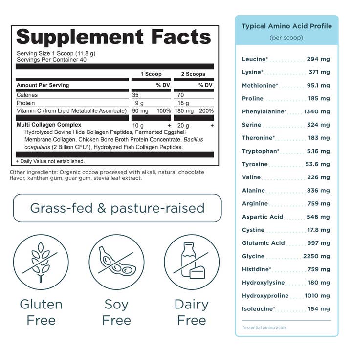 Black Multi Collagen Protein | Powder Chocolate (40 Servings) for wholesale on Faire1