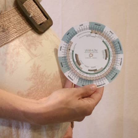 Loumé - Wholesale Pregnancy Test - Pregnancy Disc0