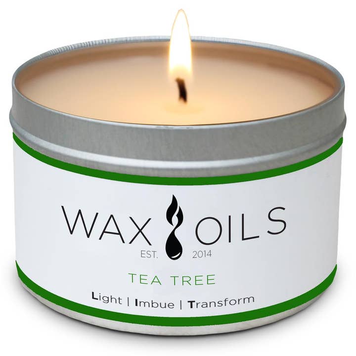 Tea Tree Soy Candle for wholesale by Wax & Oils
