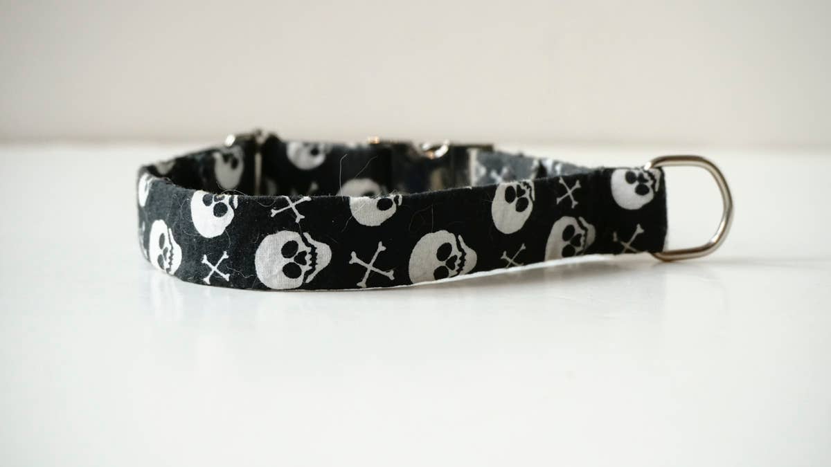 hundsfutter - Wholesale Pet Collar - Dog - Small collar for dogs with skulls10