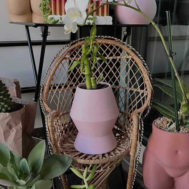 Peachy Pilea – Großhandel Blumentopf – Lavalampen-Pflanzgefäß | Weitere Farben erhältlich
