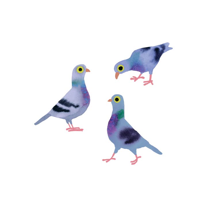 Tattly - Wholesale Temporary Tattoo - Pigeon Pals Tattoo Pair