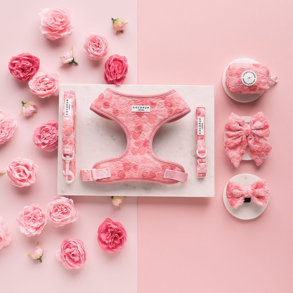 Cocopup London - Vendita all'ingrosso Guinzaglio - Cani - Guinzaglio Peony Pup con motivo floreale2