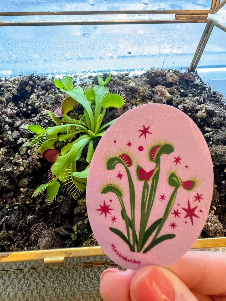 Venus Fly Trap Sticker for wholesale by Tori's Trinkets