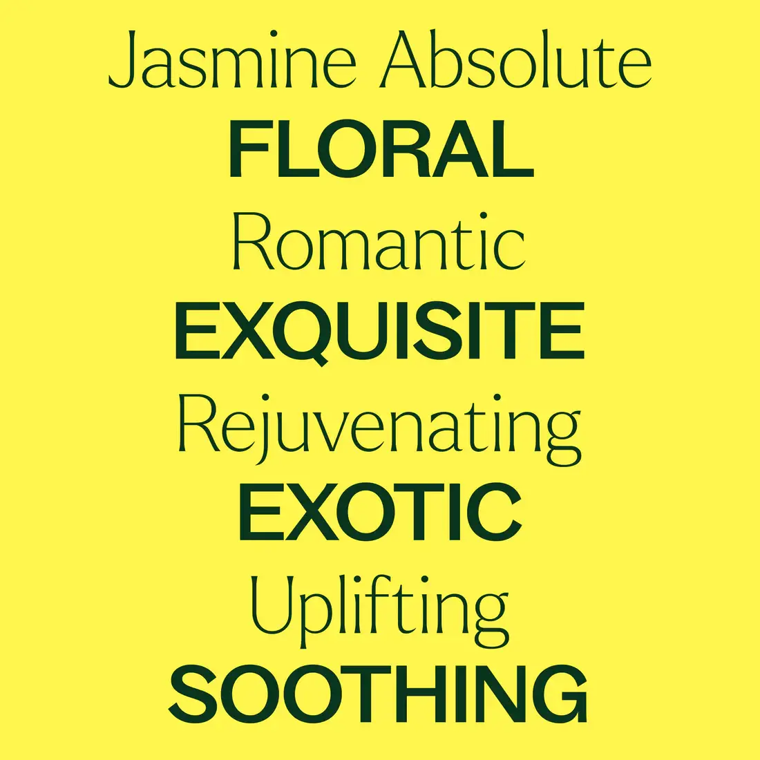 Plant Therapy - Wholesale Essential Oil Roll-On - Jasmine Sambac Pure Absolute Pre-Diluted Roll-On5