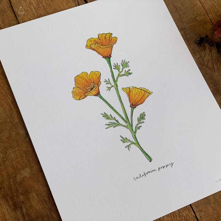 Little Salt Wagon - Wholesale Art Print - California Golden Poppy Wildflower Art Print Home Wall Decor3