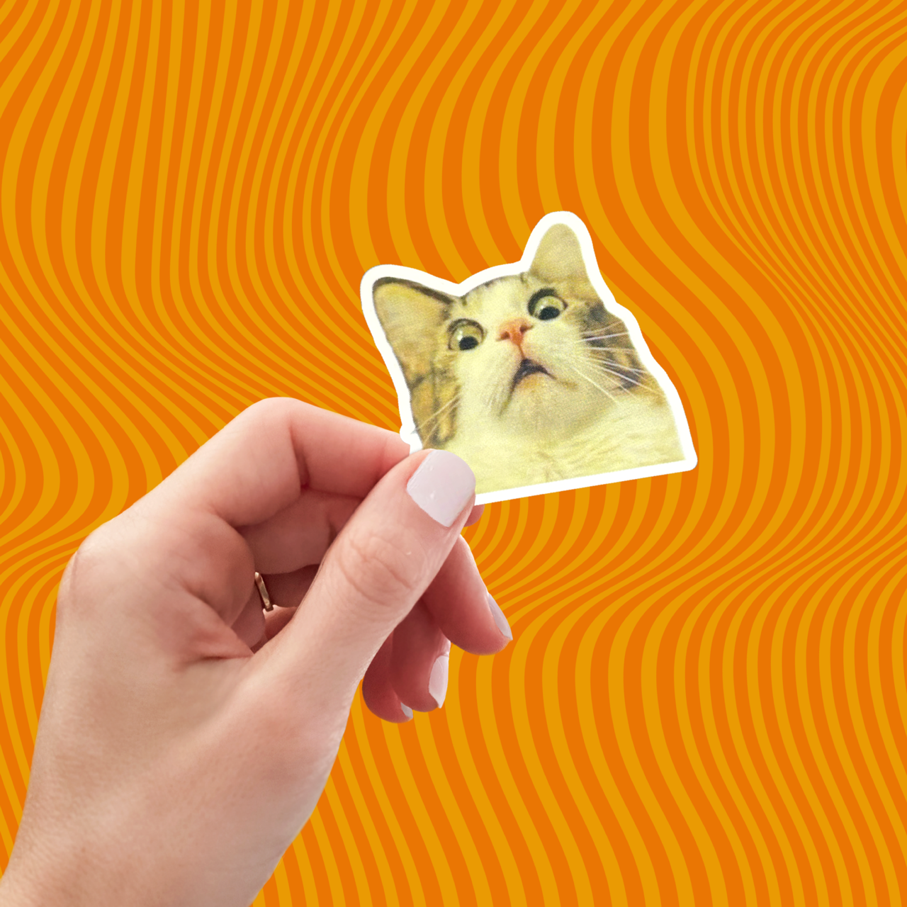 dkhandmade - Wholesale Sticker - Scaredy Cat Sticker1