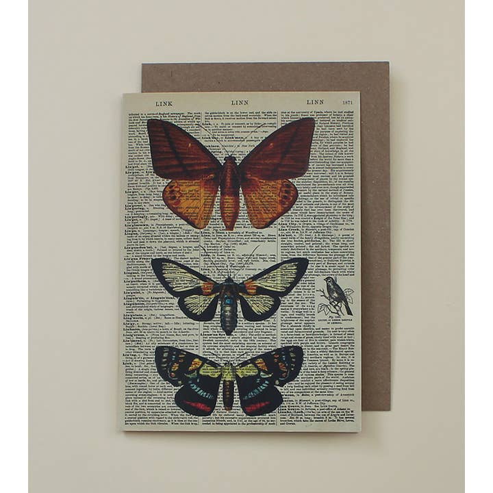 We Act Company - Wholesale Everyday Greeting Card - Butterflies Dictionary Art Card - WAC20515