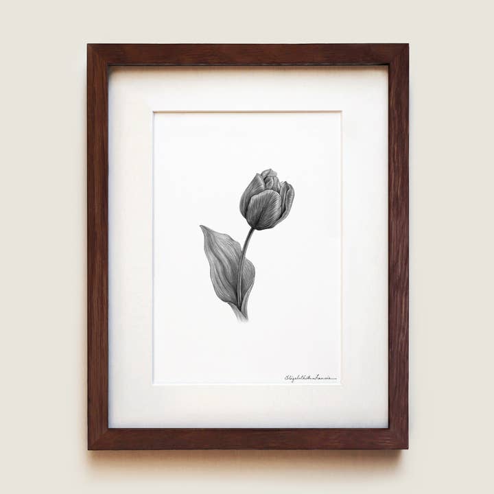 Tulipano | Stampa d'Arte per la vendita all'ingrosso da parte di ElizabethAnnFrancis