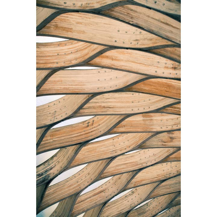 Flowing Vibrations Fine Art Print for wholesale by Christi Kraft Photography