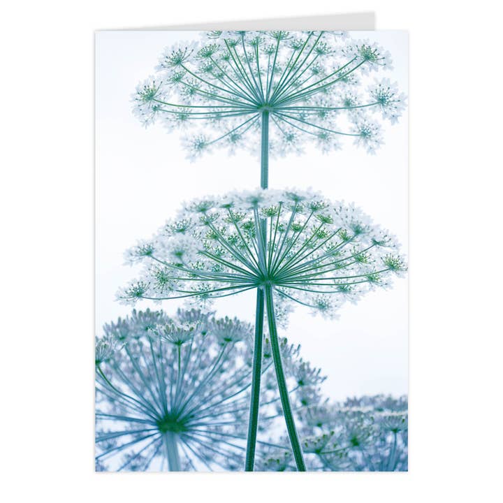 Midi-foldekarte "Beskyttet" for engroshandel hos paruspaper. nutzfeine papeterie