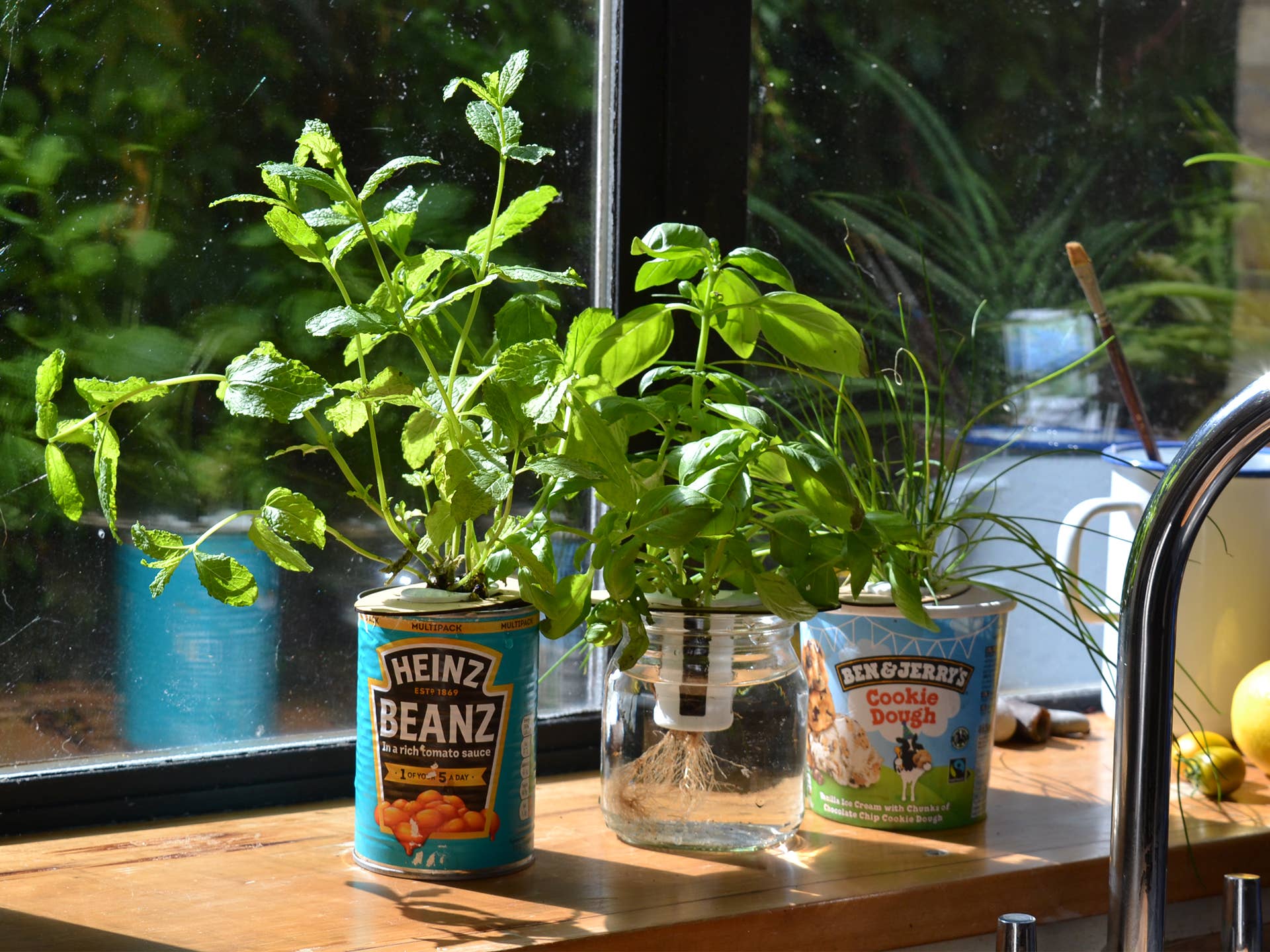 Shroot: Kabloom Seedboms - Wholesale Plant Seeds - Bottle Farm Mini Kit - Indoor Hydroponic Herb Basil Grow Kit7