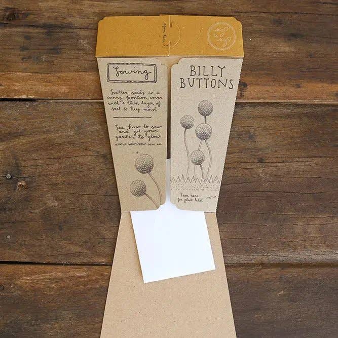 Sow 'n Sow - Wholesale Plant Seeds - Billy Buttons Gift of Seeds (Australia Only)