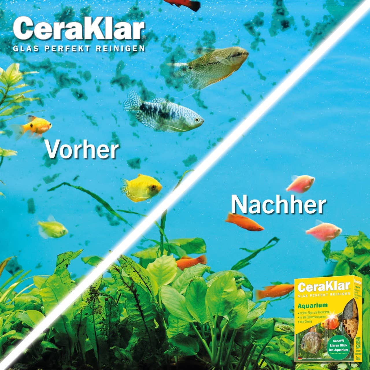 abrazo - Wholesale Cleaning Sponge - abrazo CeraKlar Aquarium - 2 sponges, removal of algae2