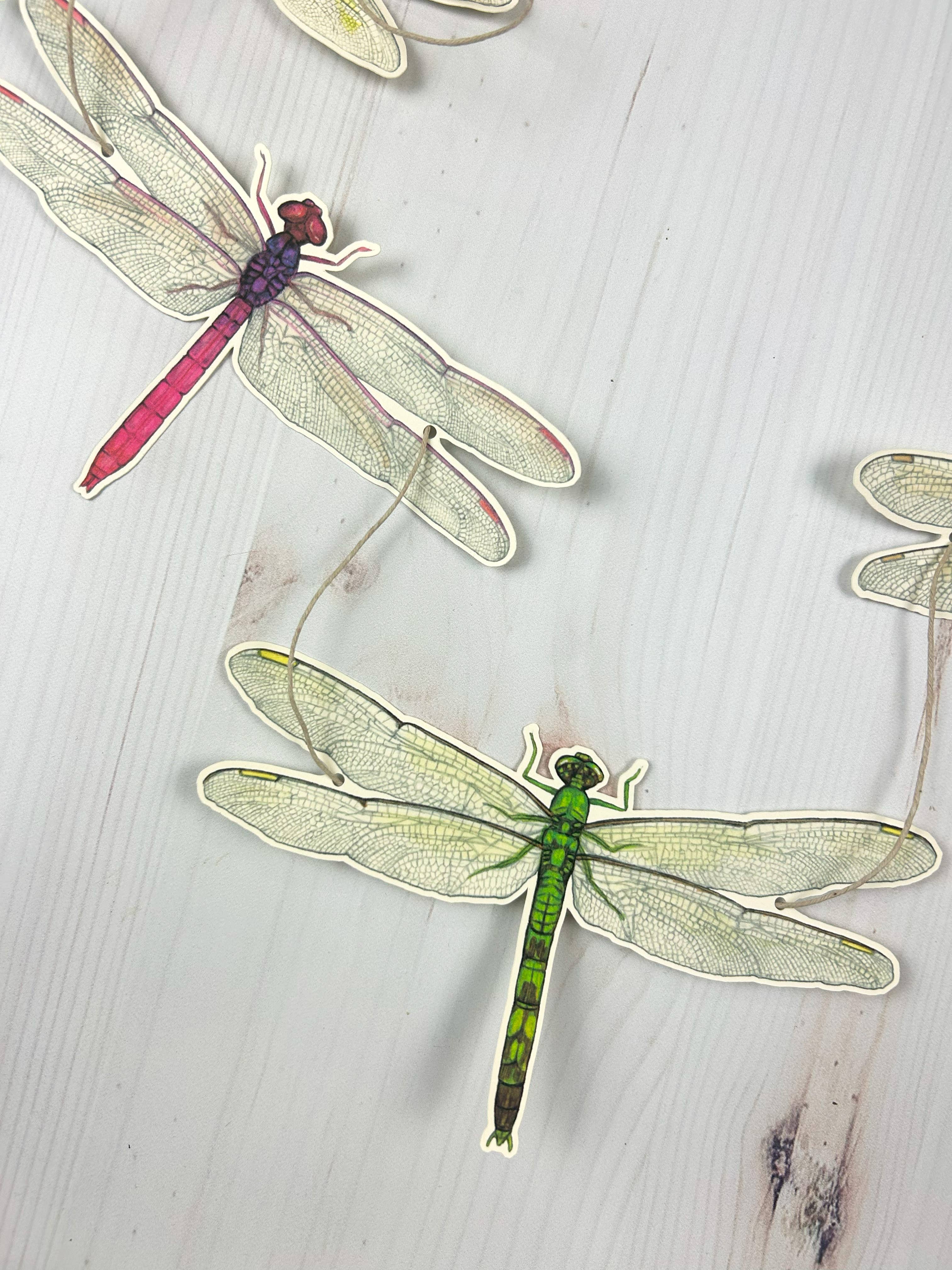 Sarah Draws Things - Wholesale Bunting/Garland - Dragonfly Illustrated Garland 5