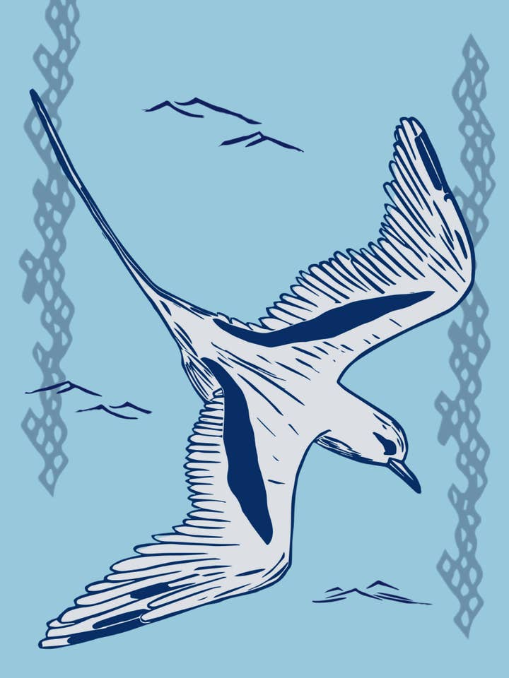 'Koaʻe Kea' Greeting Card for wholesale by Catie Lehman Art & Design