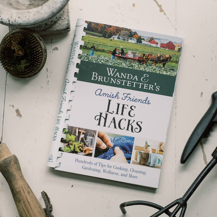 Barbour Publishing, Inc. - Wholesale Home & Garden - Wanda E. Brunstetter's Amish Friends Life Hacks7