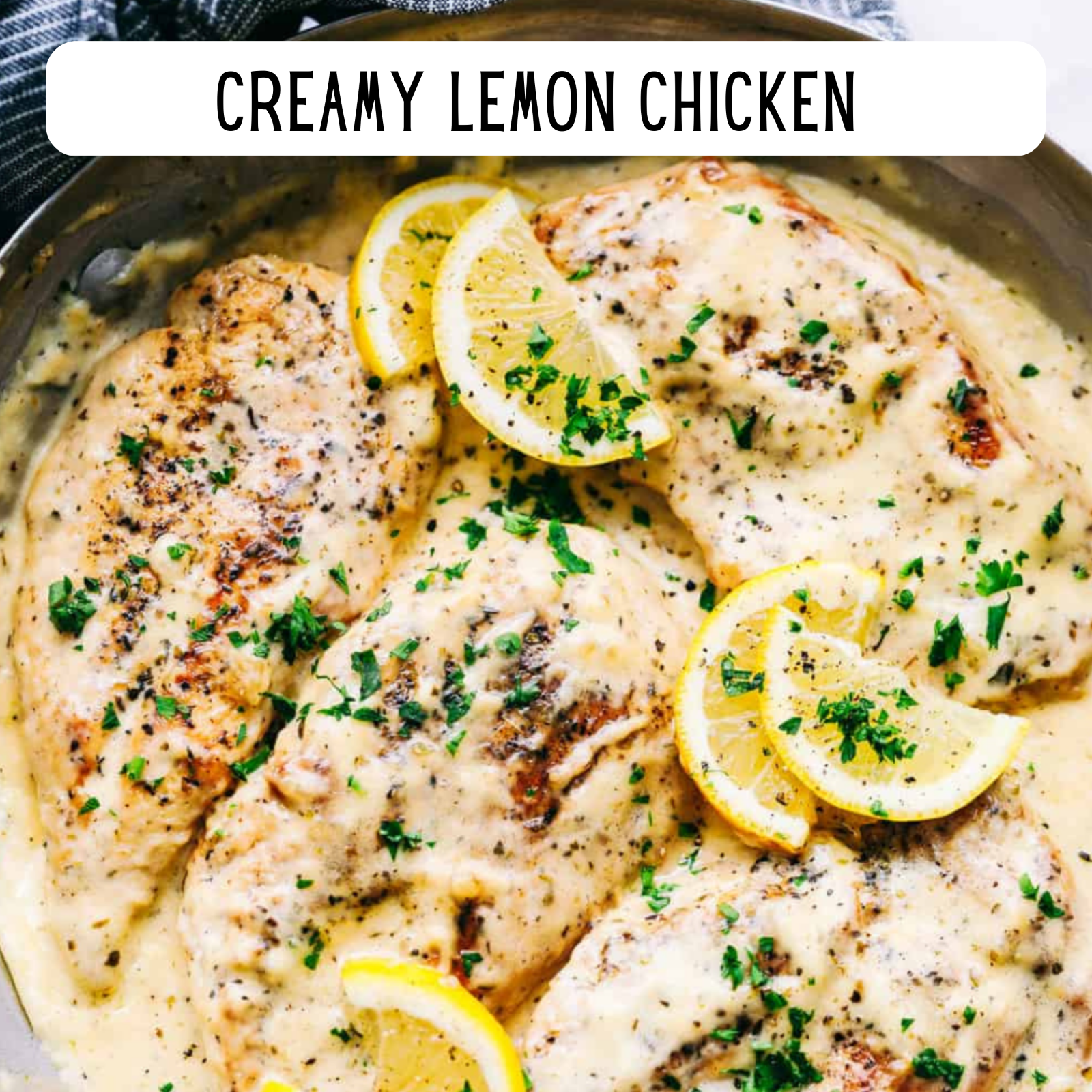 Alaska Seasoning Company - Vendita all'ingrosso Mix di spezie secche - Salsa Alfredo in polvere6