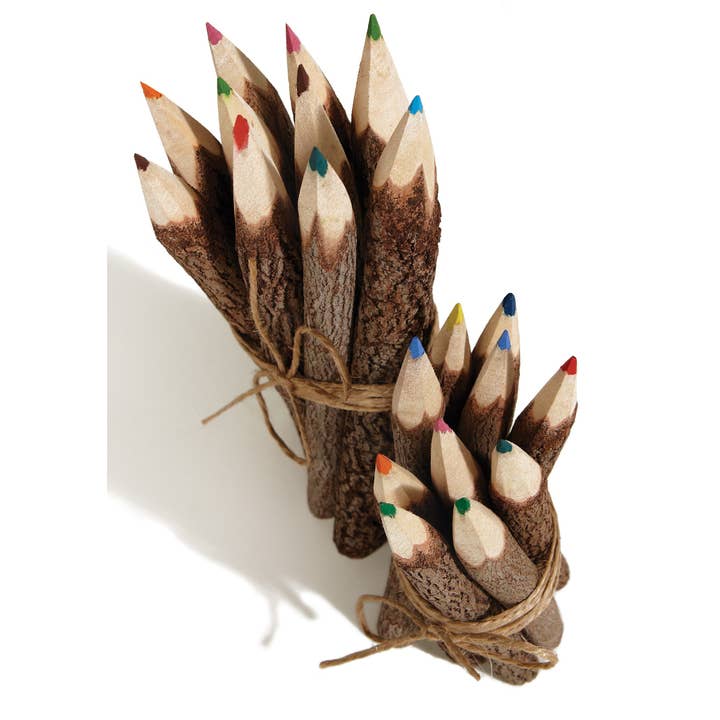 Namaste - Wholesale Colored Pencil - Pack of 10 Coloured Pencils