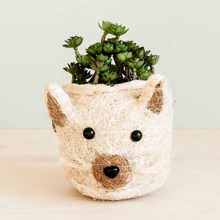 Animal Planter - Mini Pot Cat | LIKHA | holiday gifts for wholesale by LIKHÂ