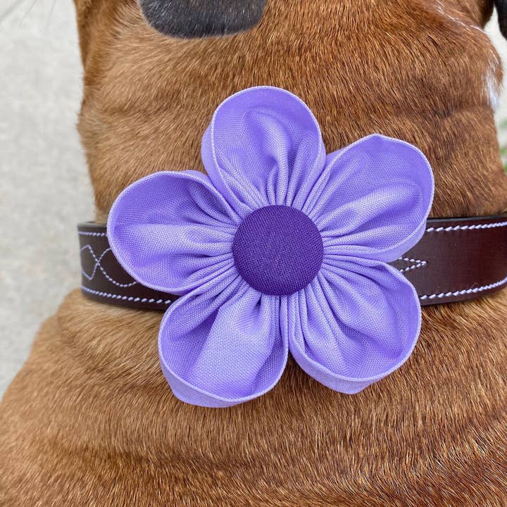 Light and Dark Purple Daisy Collar Flower Pet Accessory for wholesale by Darcy's Canine Designs