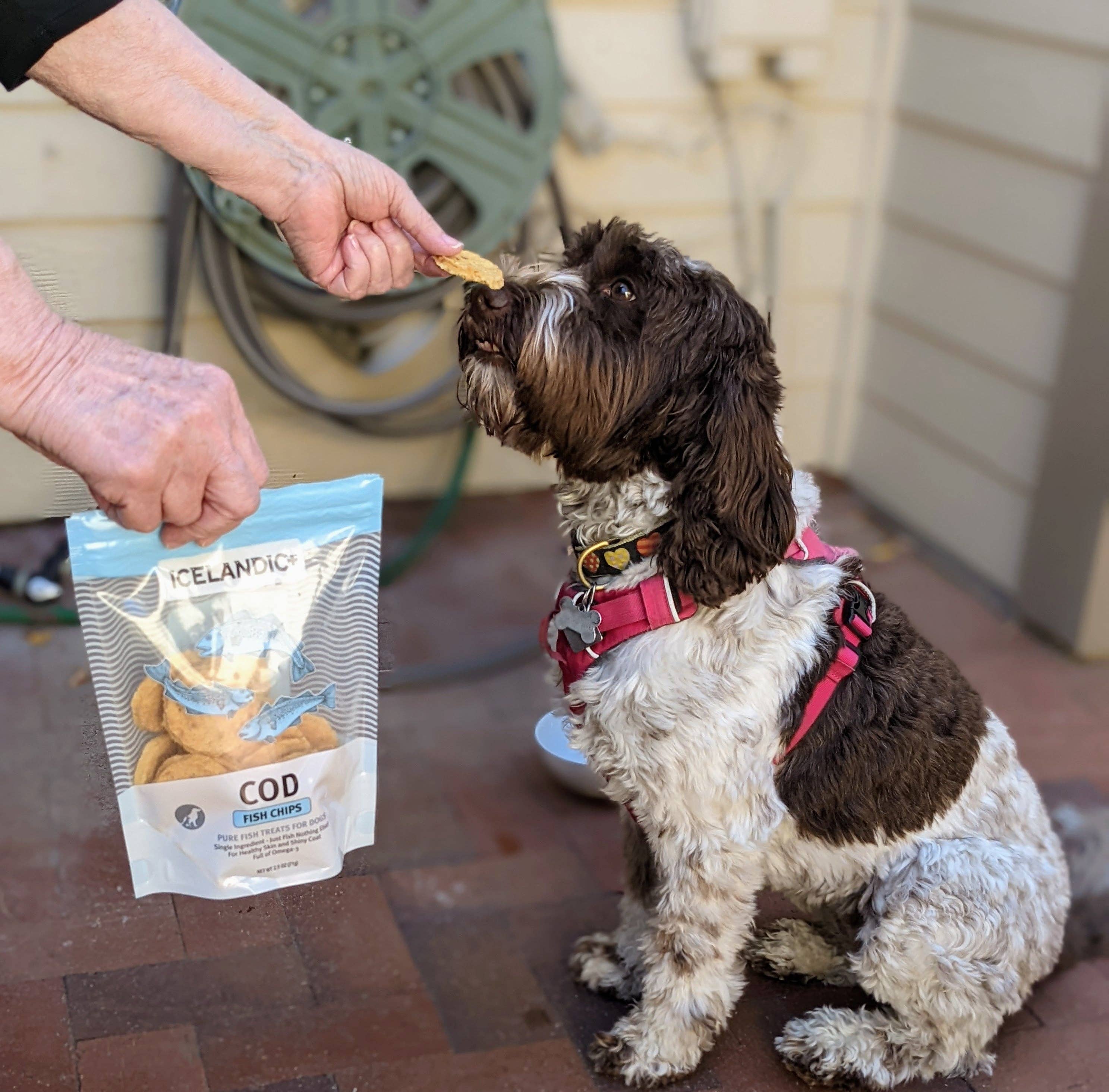 Icelandic+ - Vente Friandises – chien - Friandises pour chiens au poisson et aux frites de morue6