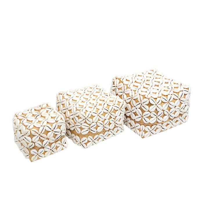 The Artisan and Company – Engroshandel Pynteæske – Dekorative Cowrie Shell perleæsker