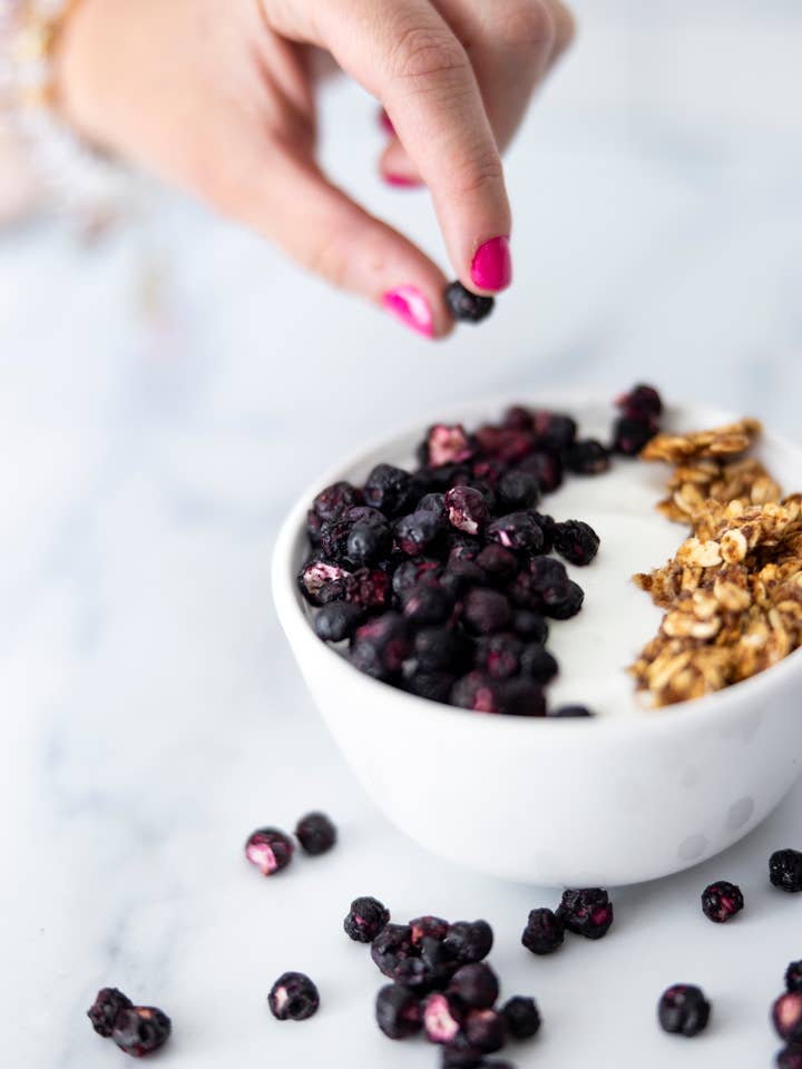 Freeze Dried Wild Blueberries - Bulk Pack for wholesale by Passamaquoddy Wild Blueberry Co.