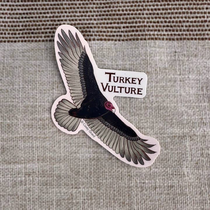 River Thrush Studio - Wholesale Sticker - Turkey Vulture - Vinyl Sticker0