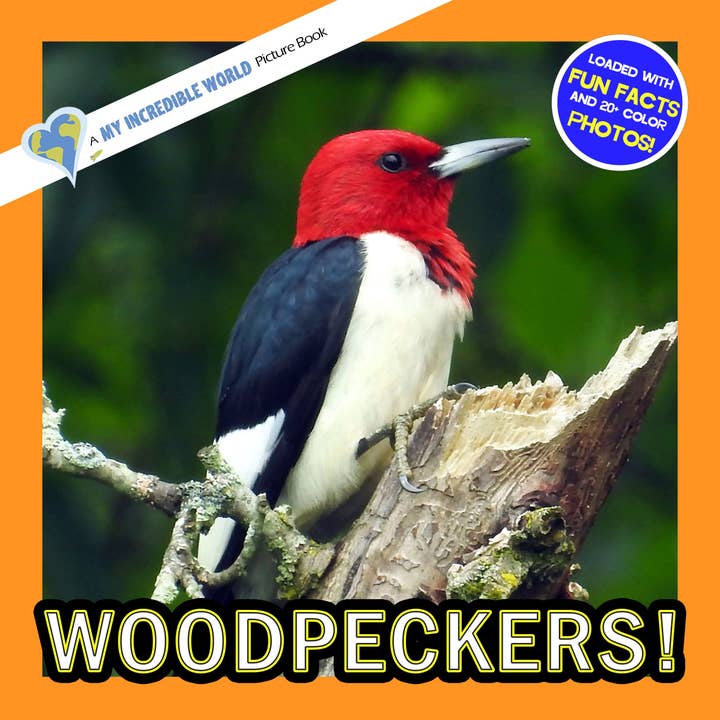 Woodpeckers! A My Incredible World Picture Book for Children for wholesale by My Incredible World