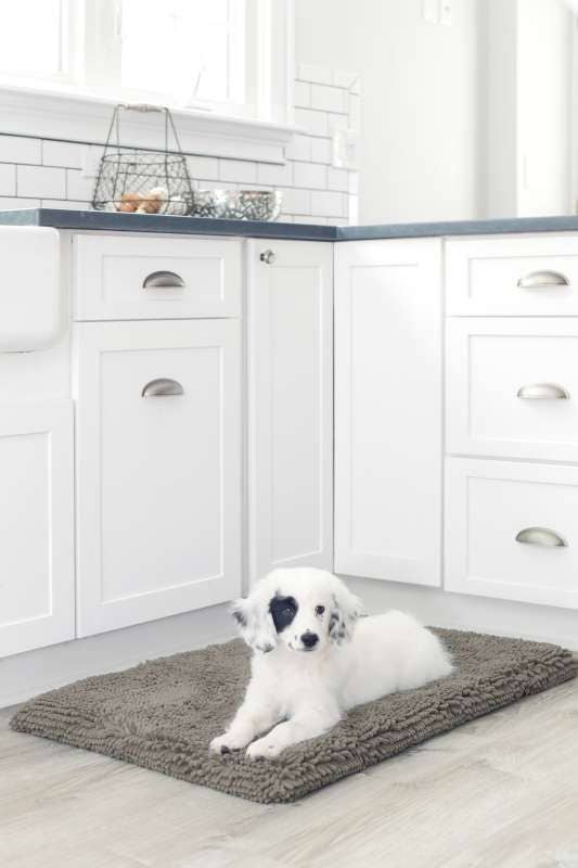 Dog Gone Smart - Wholesale Pet Mat - Dog - Dirty Dog Cushion Pad6