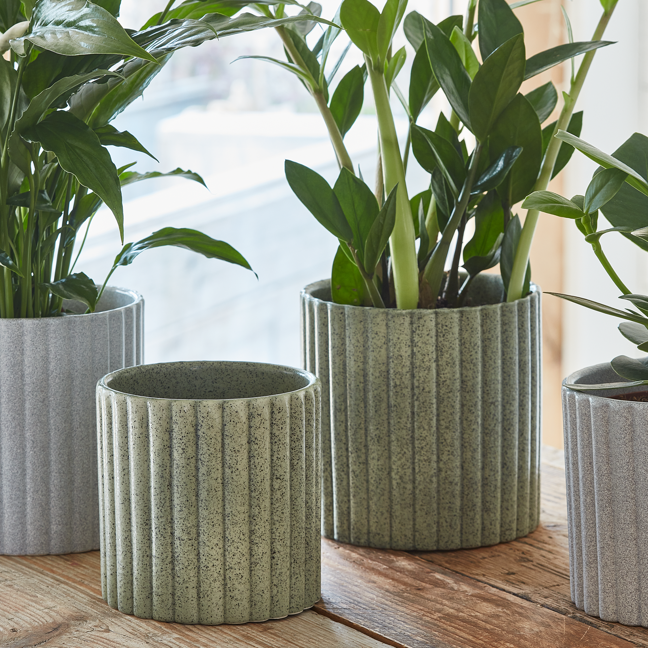 Ivyline – wholesale Indoor pot – Azalea Stone Ribbed Speckle Earthenware Indoor Planter5