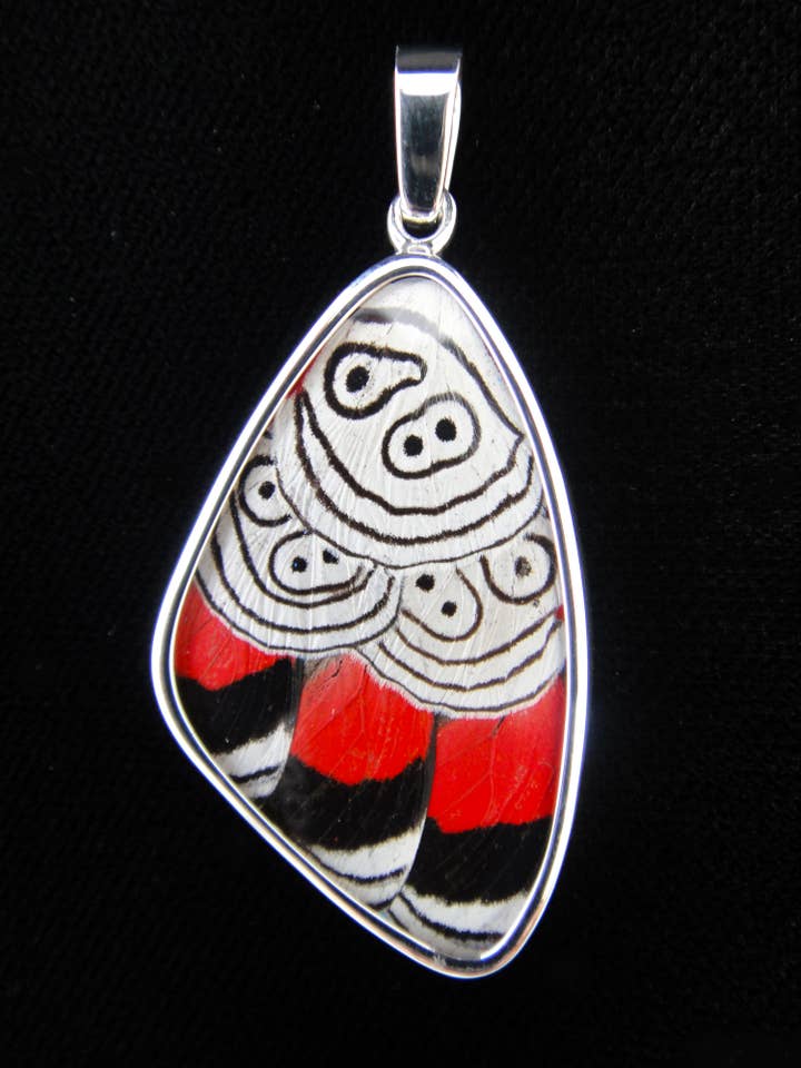 Shimmerwings "88" Large Butterfly Pendant for wholesale by Tika