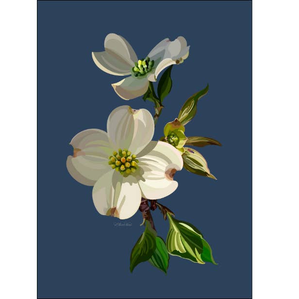 Southern Dogwood Art Print | Dogwood Artwork for wholesale by Homeward Studio