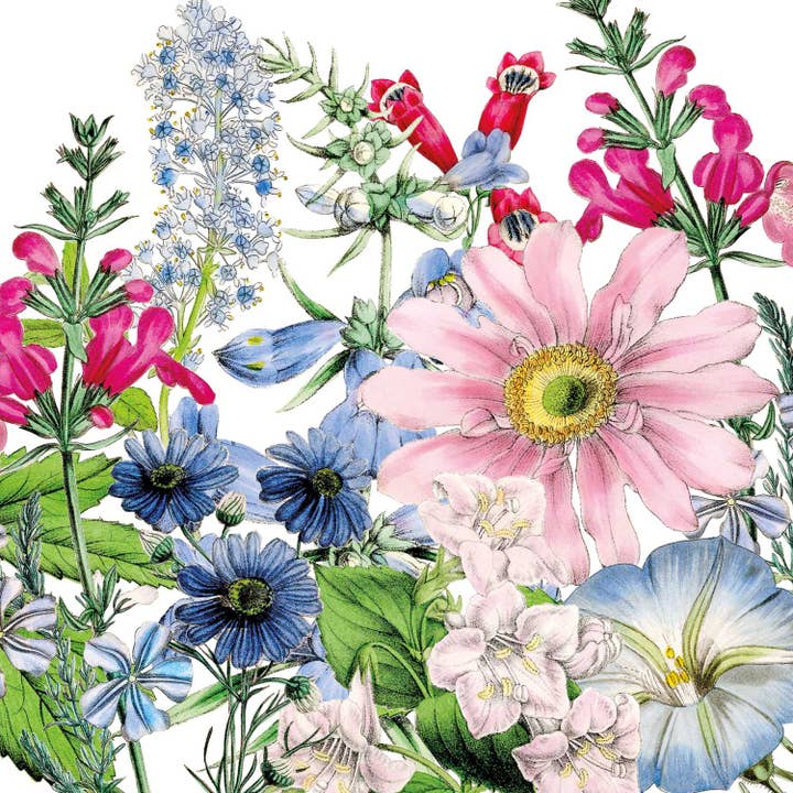 BEV-FLORICULTURE for wholesale by Paperproducts Design • Ambiente