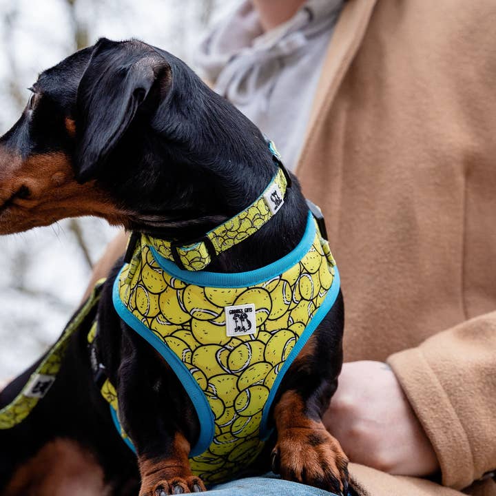Giddings Gifts - Wholesale Pet Harness - Dog - Tennis Ball Dog Harness