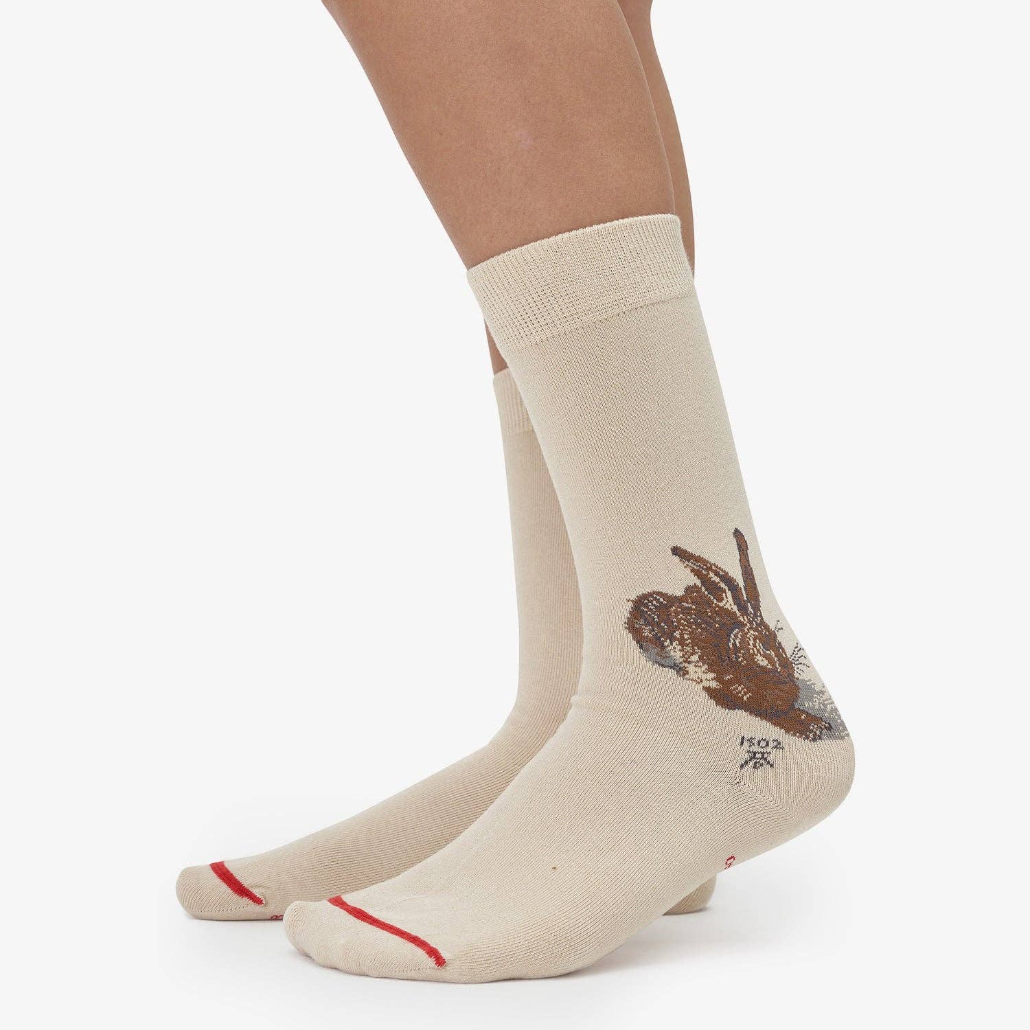 MuseARTa GmbH - Wholesale Sokken - Uniseks - Albrecht Dürer - Jonge haas3